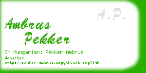 ambrus pekker business card